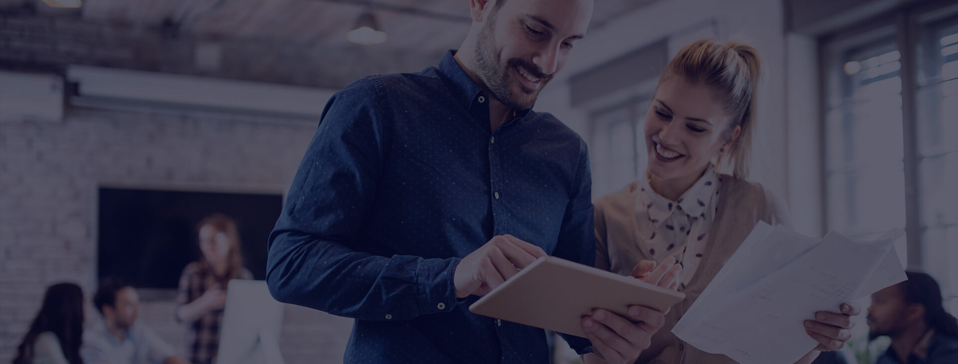 Tax Assessment and Representation